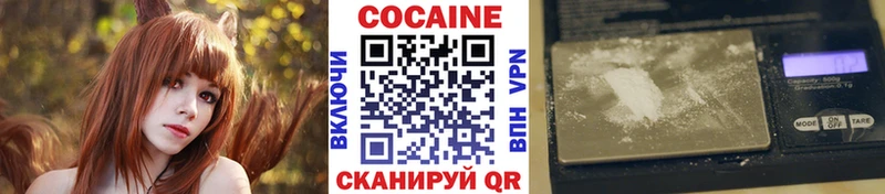 COCAIN Fish Scale  Нюрба 