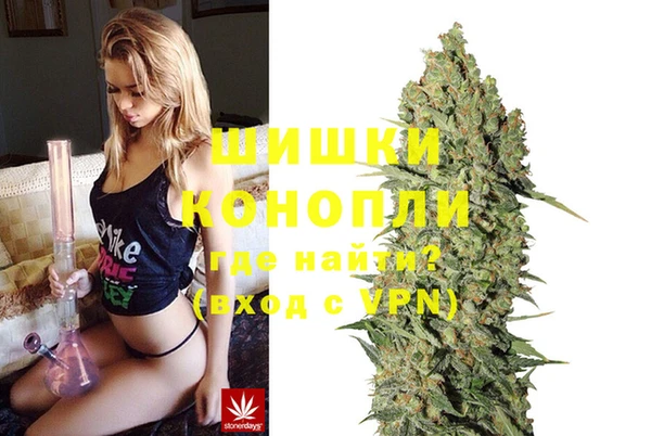 каннабис Алзамай