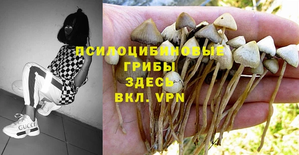 каннабис Алзамай
