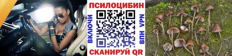 Галлюциногенные грибы мицелий Нюрба